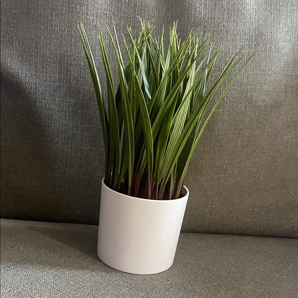 Target Green and White Faux Tall Grass Potted Floral Accent